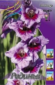 Купить оптом в Ботанике Гладиолус Рединья 10 шт