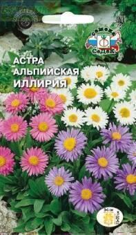 Купить оптом в Ботанике семена Астра Иллирия Сед бренд СеДеК
