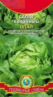 Купить оптом в Ботанике семена Салат Опал Плз бренд Плазмас