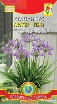 Купить оптом в Ботанике семена Агапантус Питер Пен Плз бренд Плазмас