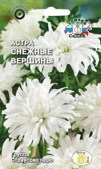 Купить оптом в Ботанике семена Астра Снежные вершины Сед бренд СеДеК
