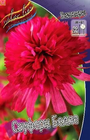 Купить оптом в Ботанике Эхинацея Сауферн Белле 25 шт