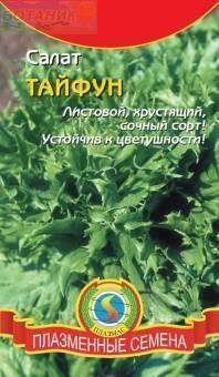 Купить оптом в Ботанике семена Салат Тайфун Плз бренд Плазмас