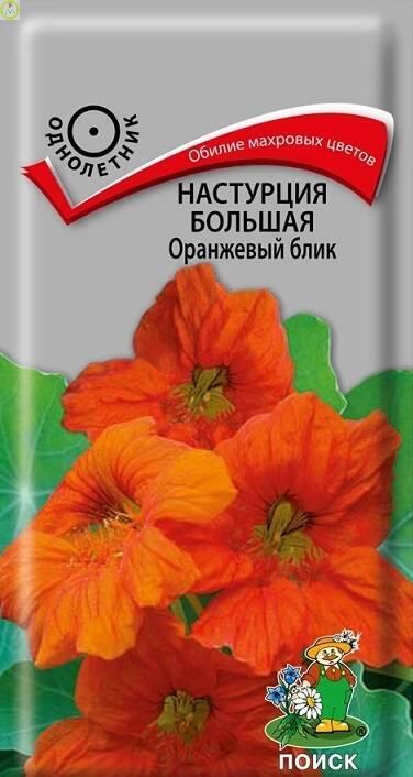 Купить оптом в Ботанике семена Настурция Оранжевый блик Поиск бренд Поиск