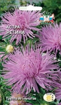 Купить оптом в Ботанике семена Астра Регина Сед бренд СеДеК