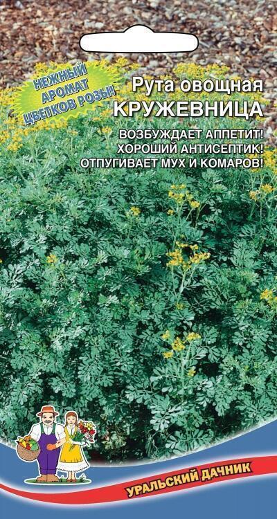 Купить оптом в Ботанике семена Рута Кружевница овощная УД бренд Уральский дачник