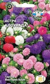 Купить оптом в Ботанике семена Астра Клоунада Сед бренд СеДеК