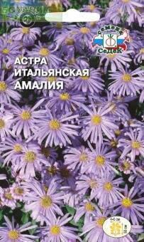 Купить оптом в Ботанике семена Астра Амалия Сед бренд СеДеК
