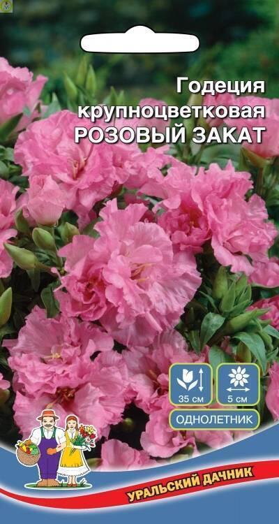 Купить оптом в Ботанике семена Годеция Розовый Закат УД бренд Уральский дачник