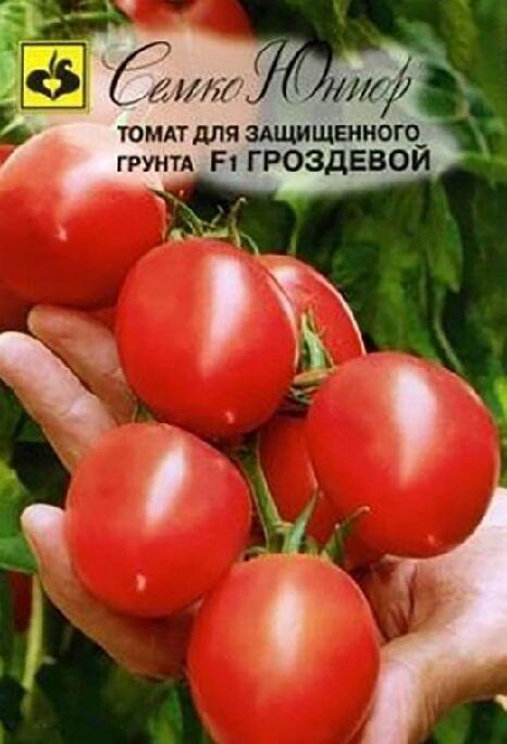 Купить оптом в Ботанике семена Томат Гроздевой F1 5 шт Сем бренд Семко