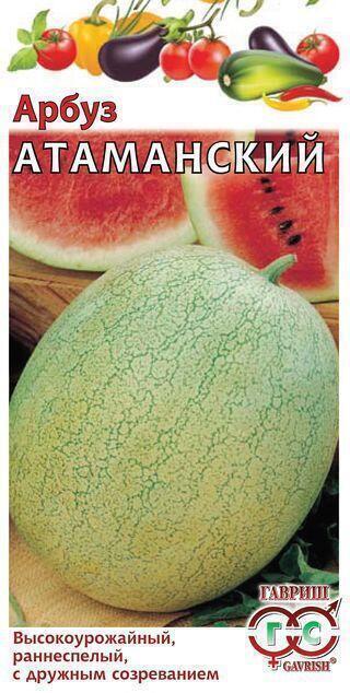 Купить оптом в Ботанике семена Арбуз Атаманский Гав бренд Гавриш