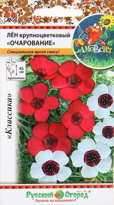 Купить оптом в Ботанике семена Лен крупноцветковый Очарование, смесь НК бренд НК