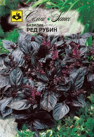 Купить оптом в Ботанике семена Базилик Ред Рубин Сем бренд Семко