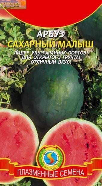 Купить оптом в Ботанике семена Арбуз Сахарный малыш Плз бренд Плазмас