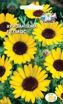 Купить оптом в Ботанике семена Хризантема Гелиос Сед бренд СеДеК
