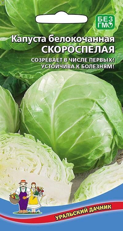Купить оптом в Ботанике семена Капуста белокочанная Скороспелая УД бренд Уральский дачник, Марс