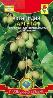 Купить оптом в Ботанике семена Актинидия Аргута Плз бренд Плазмас