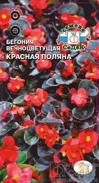 Купить оптом в Ботанике семена Бегония Красная поляна Сед бренд СеДеК