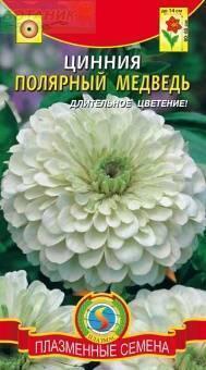 Купить оптом в Ботанике семена Цинния Полярный медведь Плз бренд Плазмас