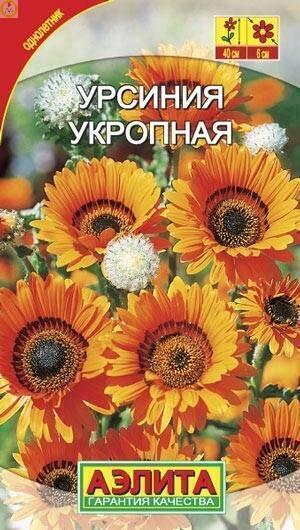 Купить оптом в Ботанике семена Урсиния Укропная Аэл бренд Аэлита