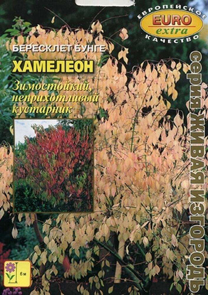 Купить оптом в Ботанике семена Бересклет Хамелеон бунге БП Аэл бренд Аэлита