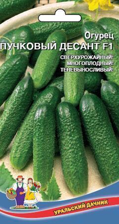 Купить оптом в Ботанике семена Огурец Пучковый Десант F1 УД бренд Уральский дачник