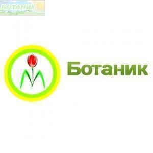 Купить оптом в Ботанике семена Томат Бренди Розовый Новинка УД бренд Уральский дачник