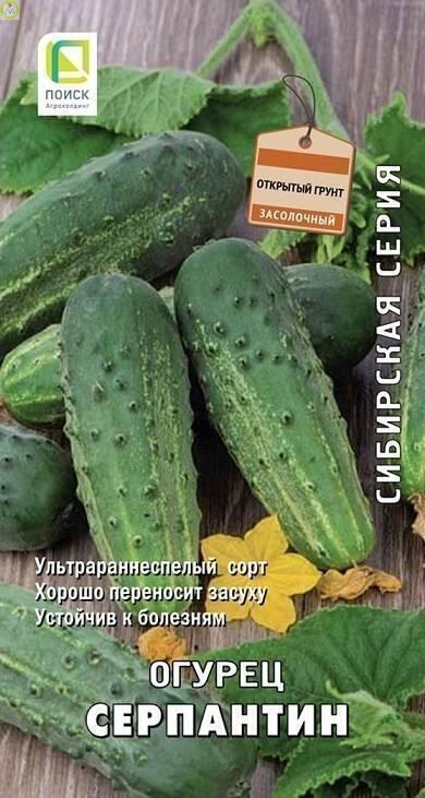 Купить оптом в Ботанике семена Огурец Серпантин Поиск бренд Поиск