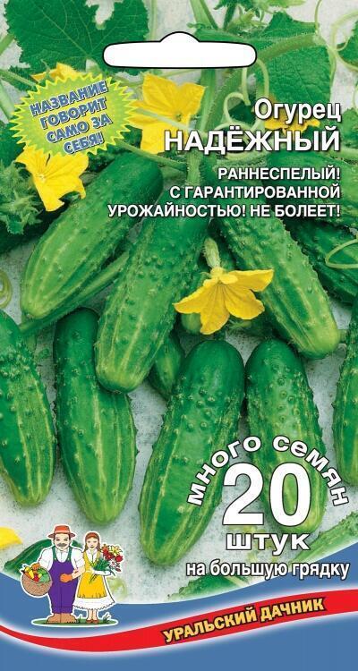 Купить оптом в Ботанике семена Огурец Надежный УД бренд Уральский дачник