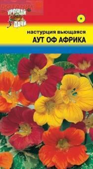 Купить оптом в Ботанике семена Настурция Аут оф Африка УУ бренд Урожай Удачи
