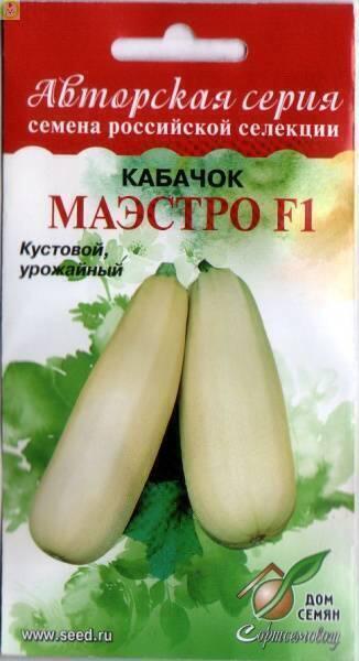 Купить оптом в Ботанике семена Кабачок Маэстро F1 ССО бренд Сортсемовощ
