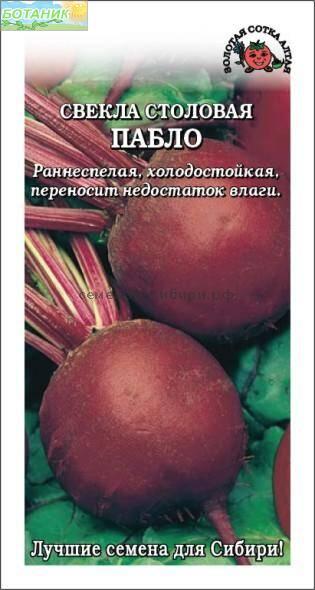 Купить оптом в Ботанике семена Свекла Пабло F1 ЗС бренд Золотая сотка