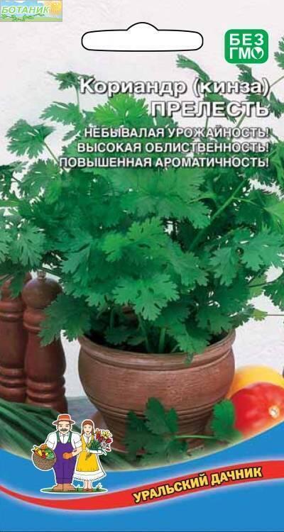 Купить оптом в Ботанике семена Кориандр (кинза) Прелесть УД бренд Уральский дачник