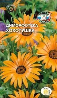 Купить оптом в Ботанике семена Диморфотека Хохотушка Сед бренд СеДеК