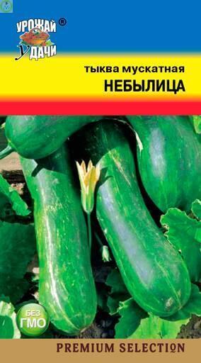 Купить оптом в Ботанике семена Тыква Небылица мускатная УУ бренд Урожай Удачи