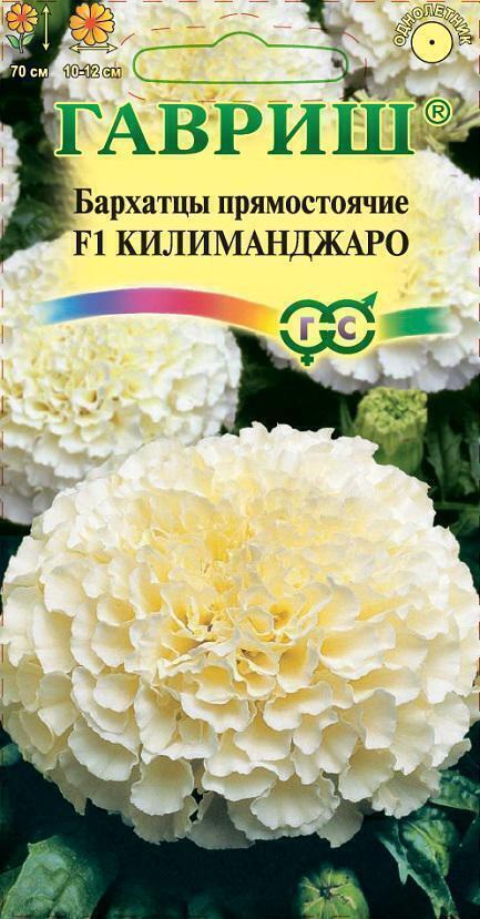 Купить оптом в Ботанике семена Бархатцы Килиманджаро прямостоячие Гав бренд Гавриш