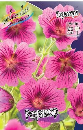 Купить оптом в Ботанике Гераниум Роузмор 1 шт