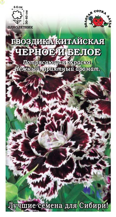 Купить оптом в Ботанике семена Гвоздика китайская Черное Белое ЗС бренд Золотая сотка