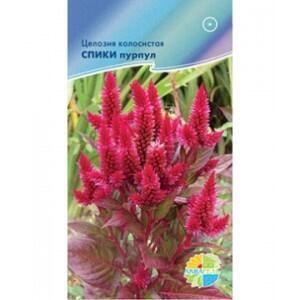 Купить оптом в Ботанике семена Целозия Спики пурпл Акв бренд Акварель