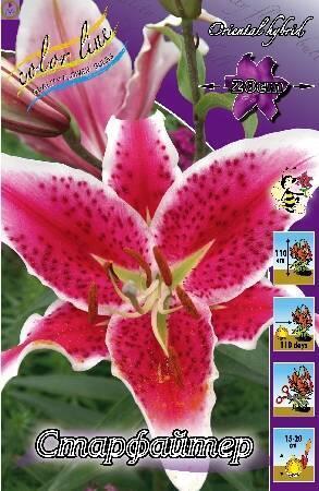 Купить оптом в Ботанике Лилия Старфайтер 18/20 5шт