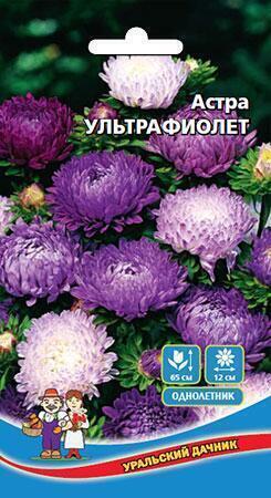 Купить оптом в Ботанике семена Астра Ультрафиолет УД бренд Уральский дачник