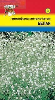 Купить оптом в Ботанике семена Гипсофила Метельчатая белая УУ бренд Урожай Удачи