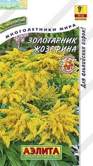 Купить оптом в Ботанике семена Золотарник Жозефина Аэл бренд Аэлита