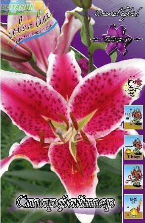 Купить оптом в Ботанике Лилия Старфайтер 18/20 25шт