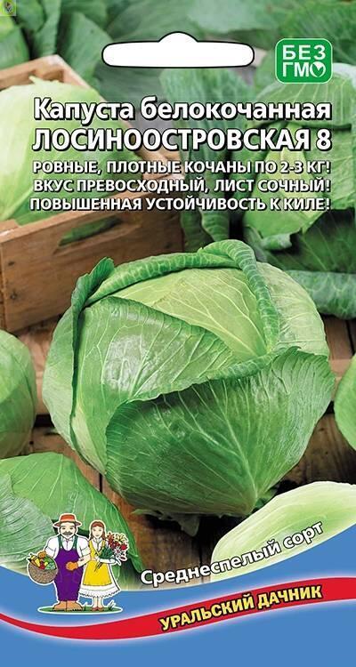 Купить оптом в Ботанике семена Капуста белокочанная Лосиноостровская 8 УД бренд Уральский дачник