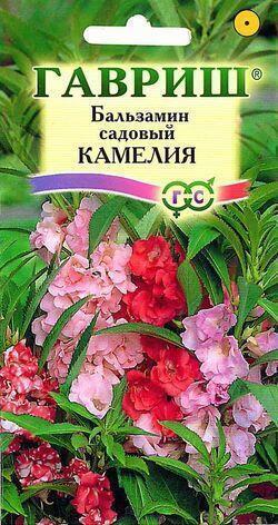 Купить оптом в Ботанике семена Бальзамин Камелия садовый Гав бренд Гавриш