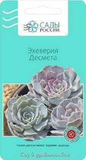 Семена Эхеверия Десмета