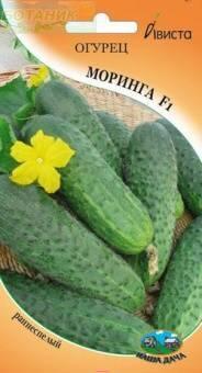 Купить оптом в Ботанике семена Огурец Моринга F1 Ав бренд Ависта