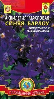 Купить оптом в Ботанике семена Аквилегия Барлоу синяя махровая Плз бренд Плазмас