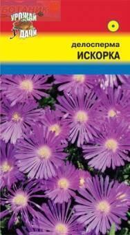 Купить оптом в Ботанике семена Делосперма УУ бренд Урожай Удачи